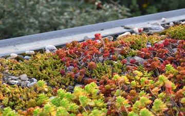 the cost of Romney Street green roof installation