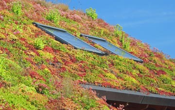 Romney Street living roof systems